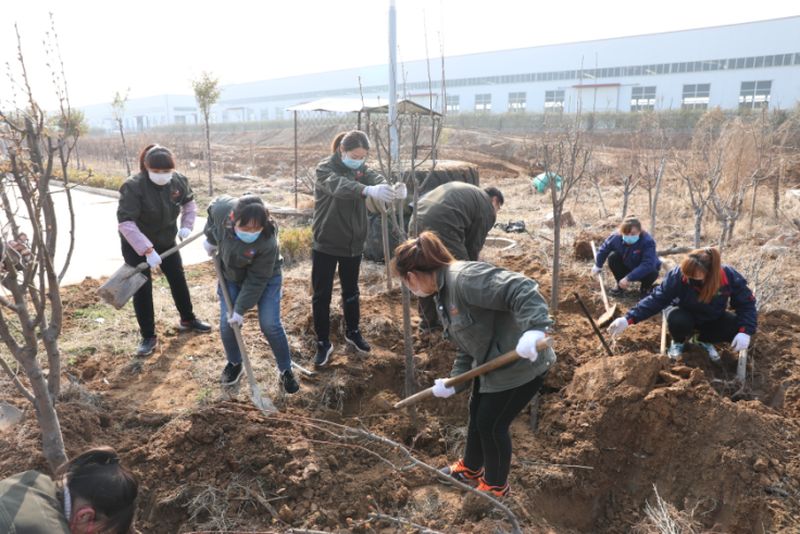 綠化國泰 美化人生-國泰科技組織義務(wù)植樹活動