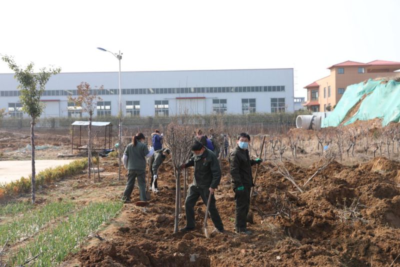 綠化國泰 美化人生-國泰科技組織義務(wù)植樹活動