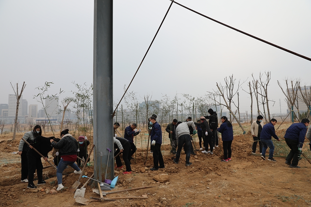 國泰科技舉行“你我攜手，美化公司”植樹節(jié)活動